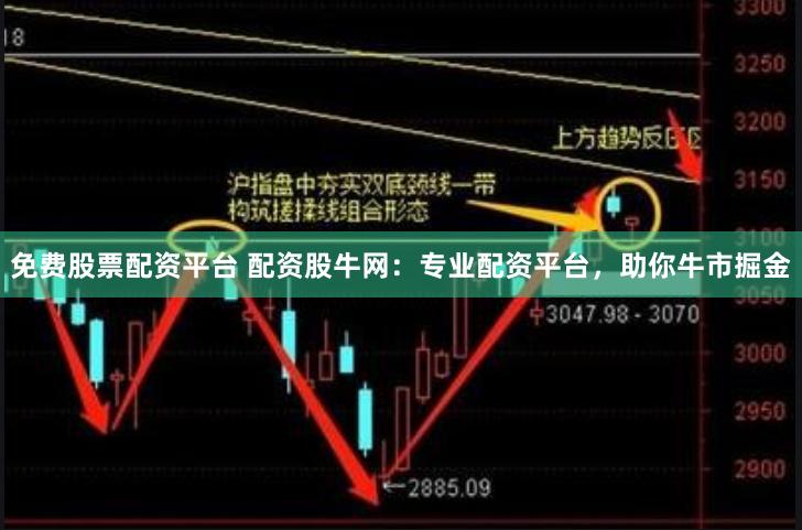 免费股票配资平台 配资股牛网：专业配资平台，助你牛市掘金