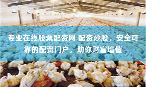 专业在线股票配资网 配资炒股,安全可靠的配资门户,助你财富增值