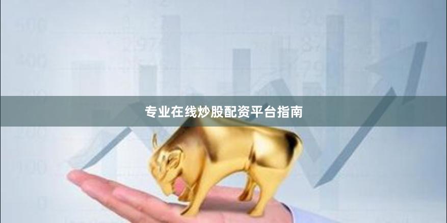 专业在线炒股配资平台指南